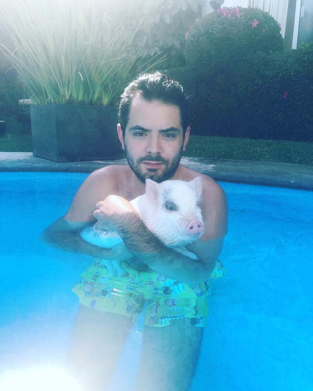 Boris, es el puerquito que José Eduardo Derbez adoptó junto a su exnovia Bárbara Escalante.