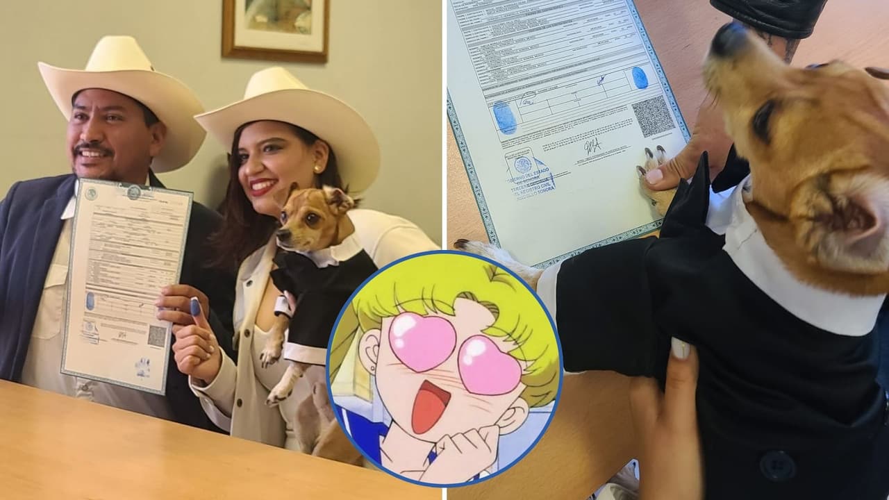 Con la huella de su pata, perrito firma como testigo en la boda de sus dueños