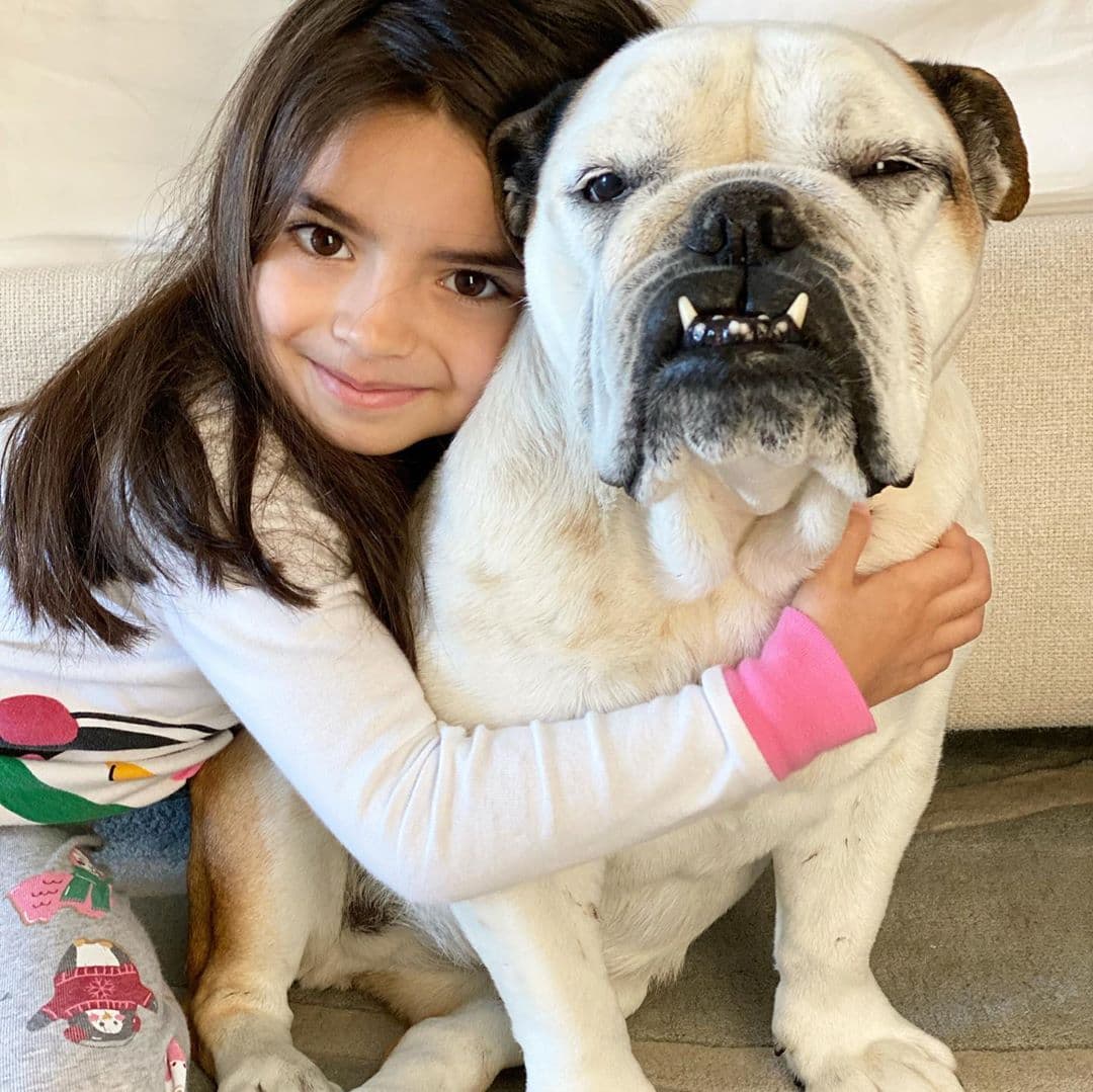 La perrita es una bulldog inglés que convive con toda la familia. En las imágenes, los seguidores bromearon y sugirieron que, por primera vez, la pequeña Derbez, de cinco años de edad, fue opacada.