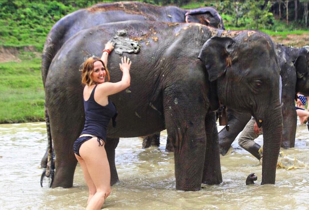 Su retaguardia también llama la atención