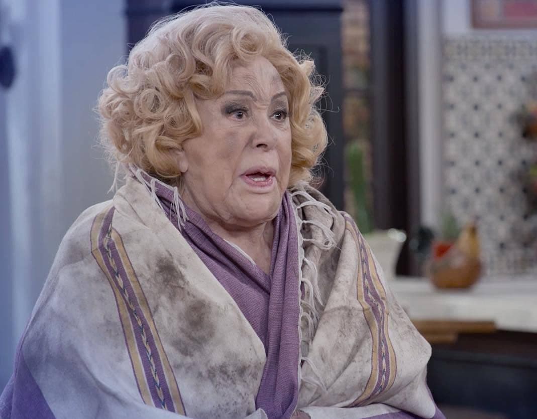 "Mi marido tiene más familia", "Soy tu Dueña" y "Fuego en la Sangre" son algunas de las telenovelas en las que ha participado.