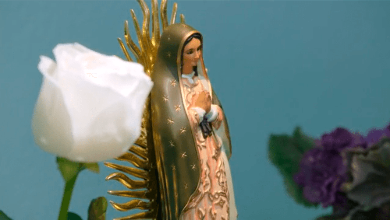 MARATÓN: Por si te los perdiste, AQUÍ están los capítulos más nuevos de La Rosa de Guadalupe
