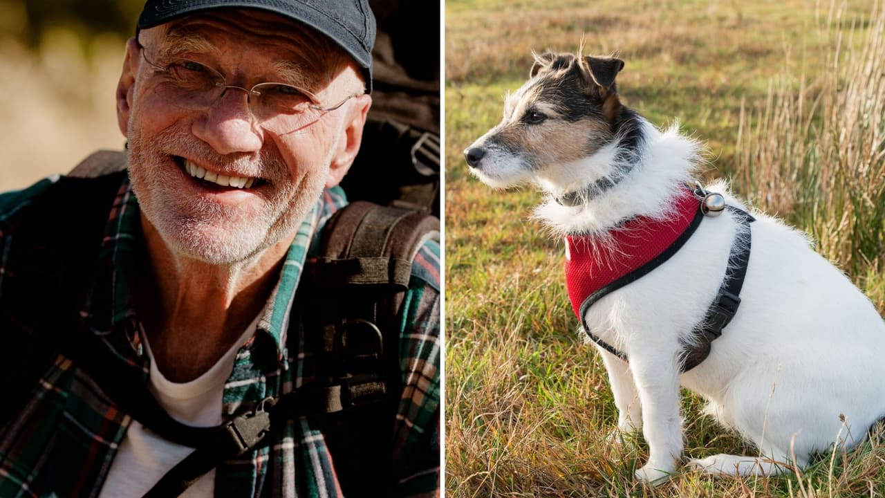 Perrita custodió el cuerpo de su amo por meses tras morir haciendo senderismo: conoce la historia
