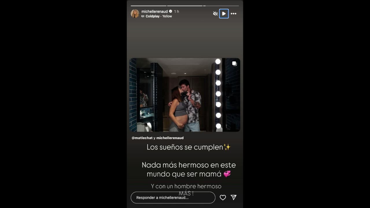 Matías Novoa y Michelle Renaud anuncian que están esperando su segundo hijo en común