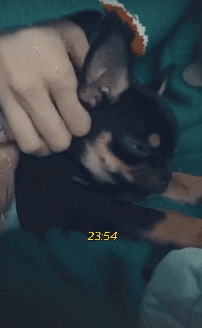 Instagram: @belindapop