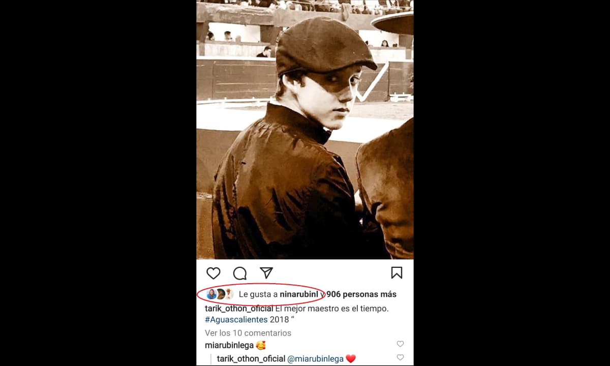 La hija de Andrea Legarreta le mostró su amor al torero con emojis