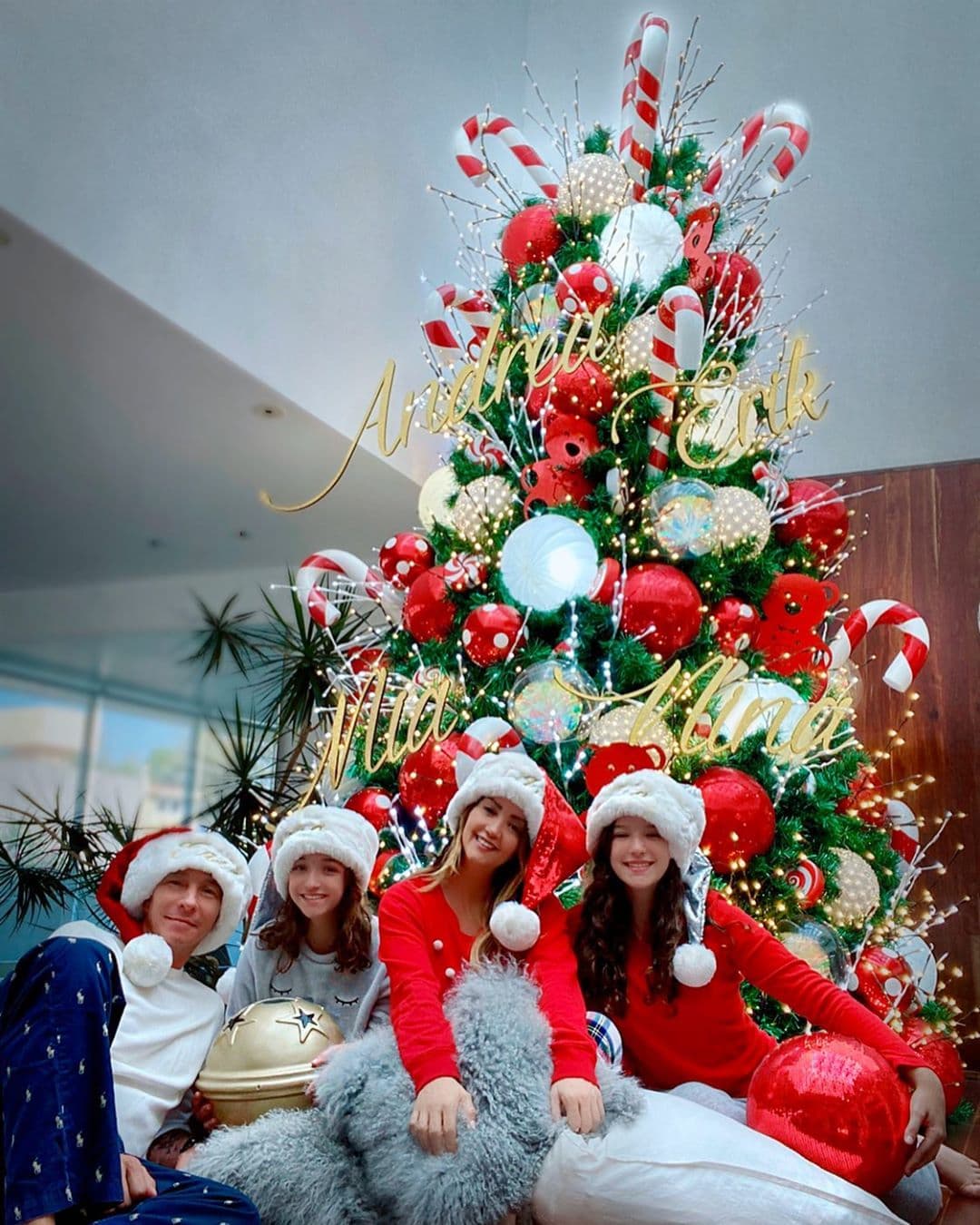 Andrea Legarreta fue la siguiente en robar miradas con su árbol de navidad, el cual destacó por los enormes adornos que colocó, así como los nombres en letras cursivas de cada uno de los miembros de su familia: Erik, Nina y Mía Rubín.