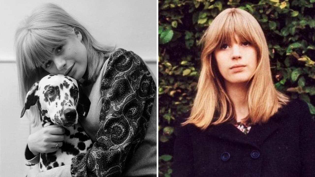 Reportan muerte de reconocida actriz a los 78 años: esto se sabe