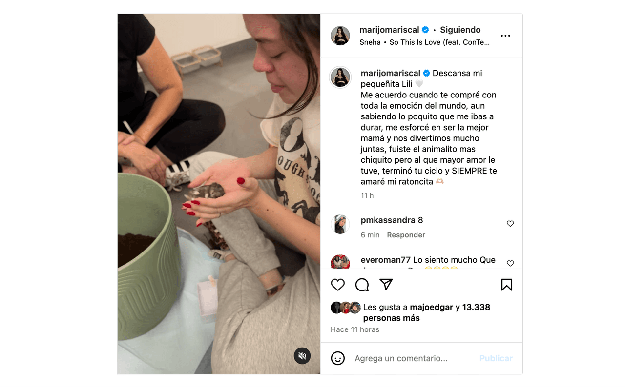 'Hija' de Fernando Colunga llora la muerte de su pequeñita y así la despide