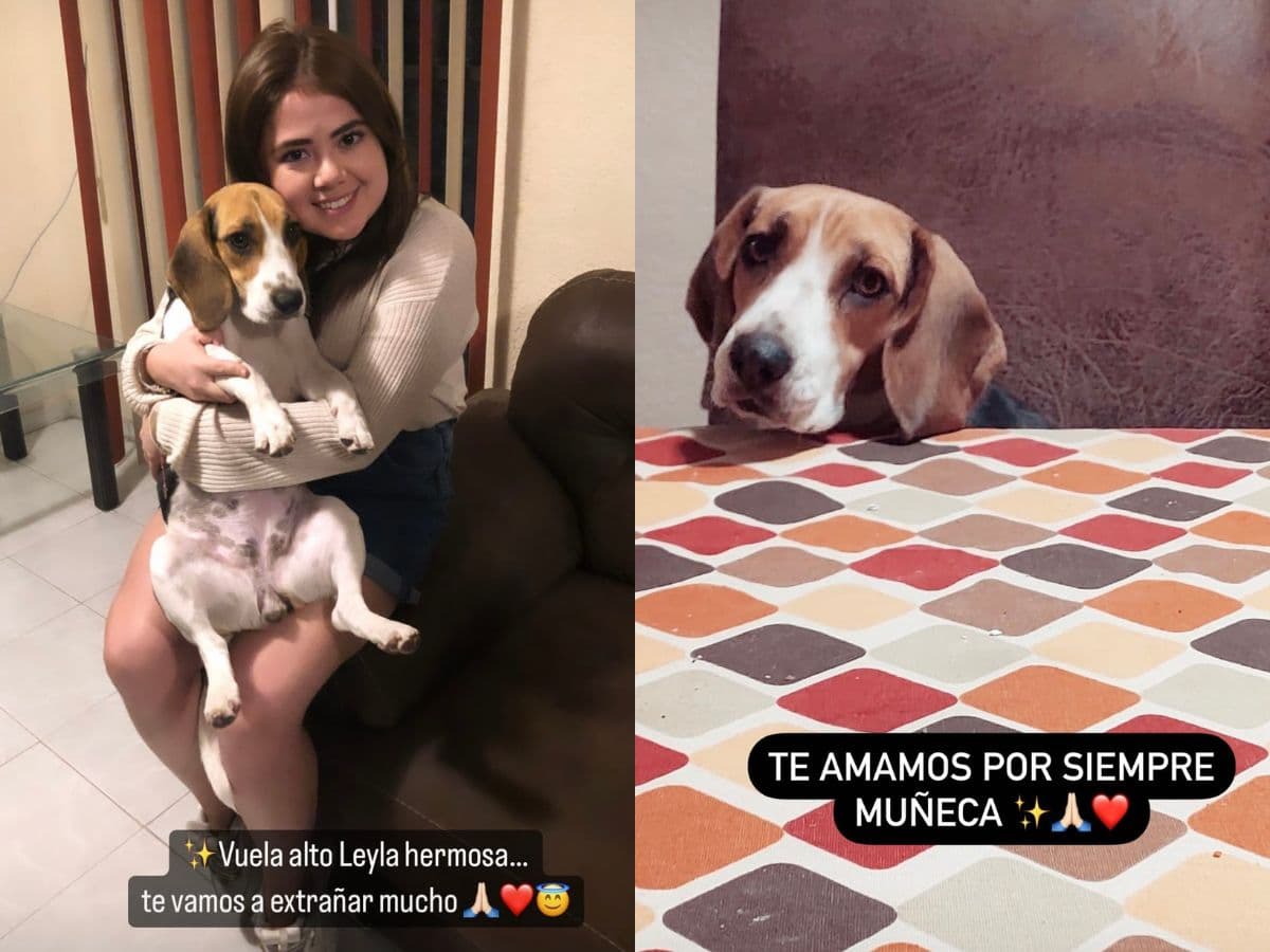Mariana Botas está de luto y conmueve con mensaje de despedida