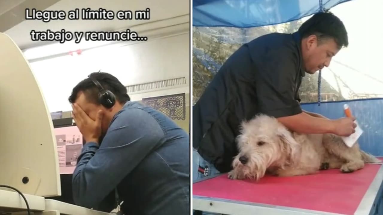 Joven deja su trabajo para abrir una estética canina e inspiradora historia se viraliza en TikTok