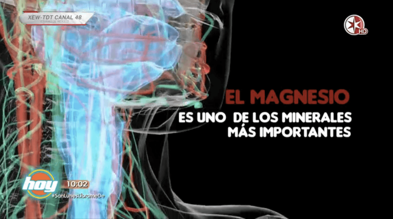 Tu cuerpo es tu templo ¡Aprende los beneficios del magnesio!
