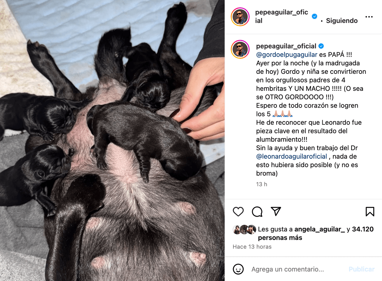 Pepe Aguilar ya es abuelo: presenta a los 'bebés' de su familia