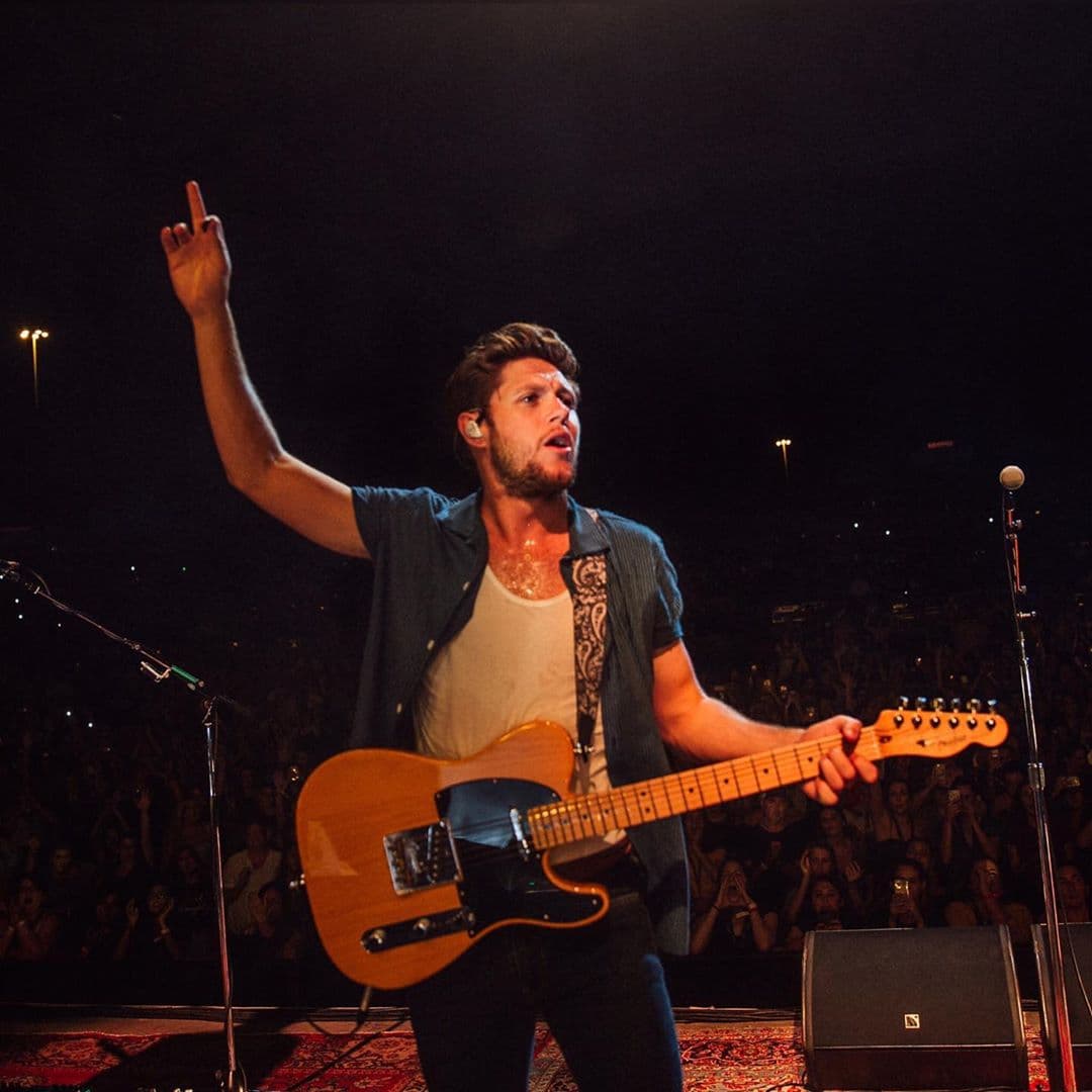 El cantante irlandés vuelve por segunda ocasión a los Premios Telehit tras cantar junto a One Direction en 2015.