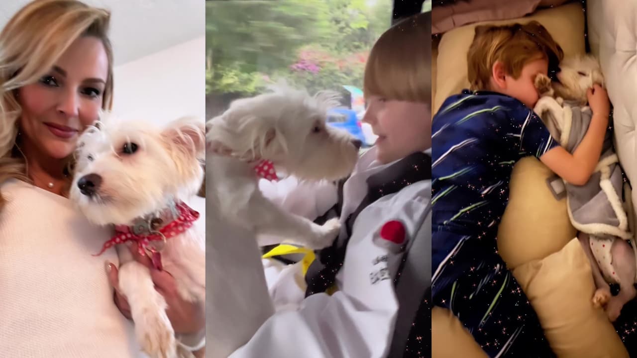 Marjorie de Sousa adopta una 'niña' y así la presenta