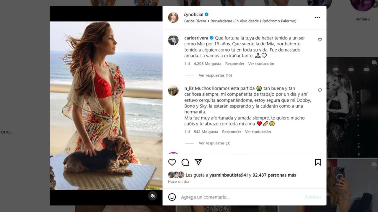 Cynthia Rodríguez anuncia triste pérdida en su familia.