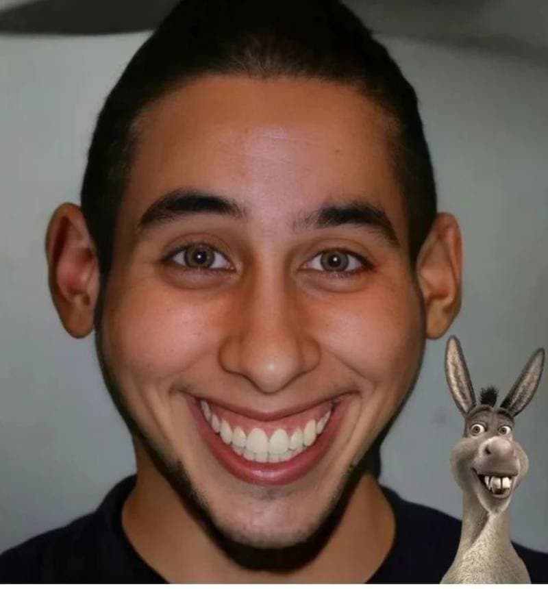 Inteligencia Artificial muestra cómo se vería Burro en la vida real