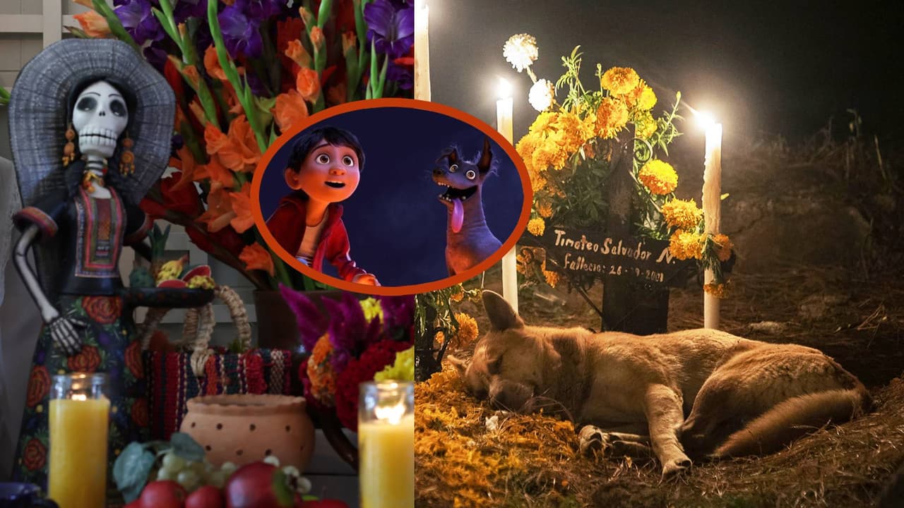 ¿Qué día debes poner la ofrenda de Día de Muertos para tus mascotas y qué debe llevar?