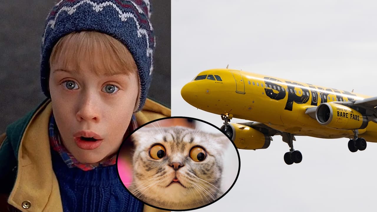 Como en 'Mi pobre angelito 2': aerolínea envió a un niño de 6 años en un vuelo equivocado
