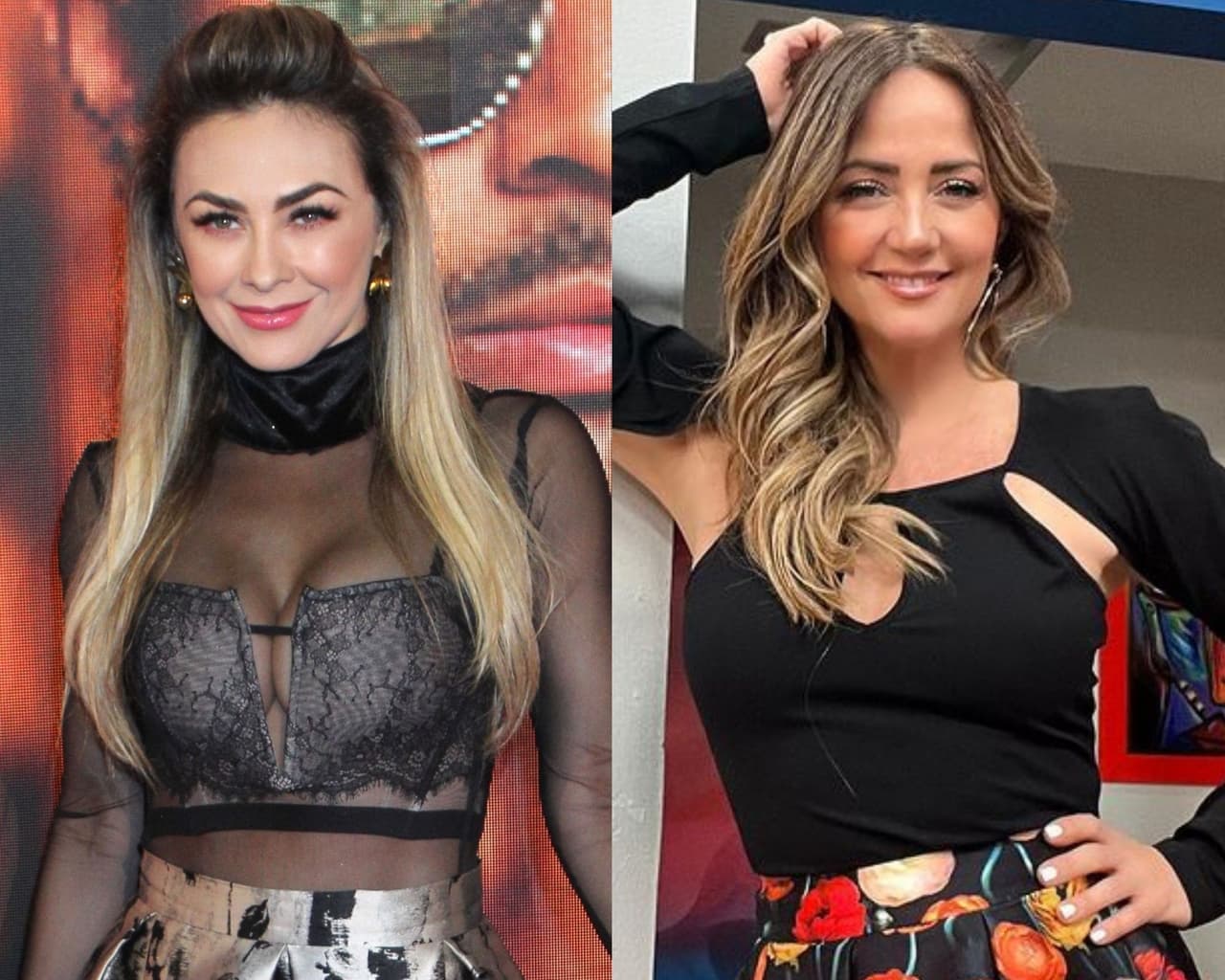 Aracely Arámbula y Andrea Legarreta: ¿Qué tienen en común sus hijos?