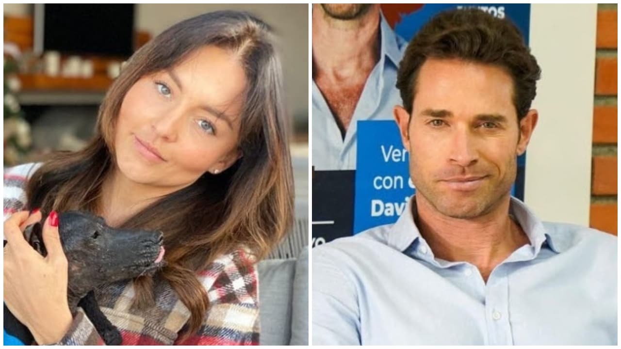 ¿Angelique Boyer y Sebastián Rulli terminaron? Los mensajes que aclararían la situación