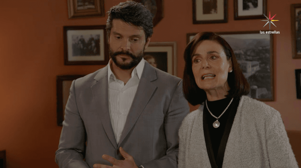 Capítulo 33: Hortensia levanta la orden de restricción