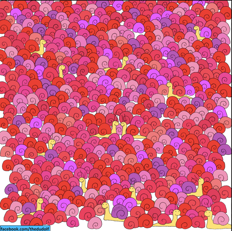 Reto Viral: Entre estos caracoles hay un corazón. ¿Puedes encontrarlo?