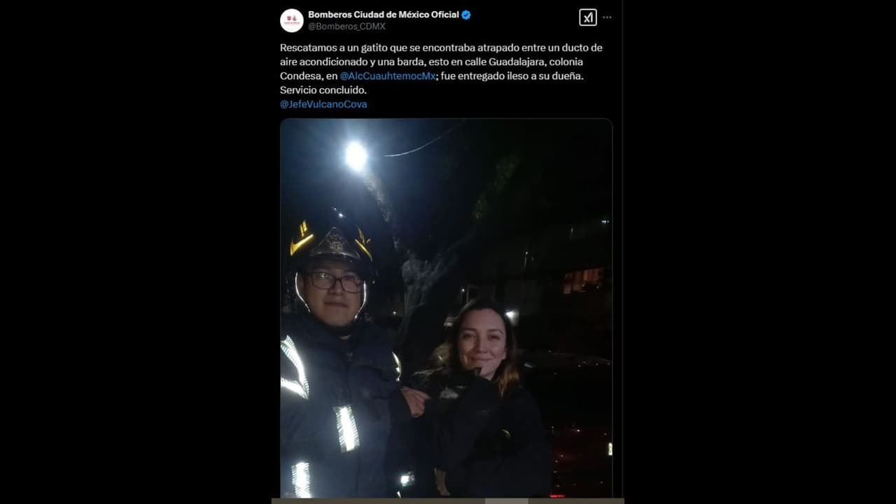 Bomberos en Ciudad de México rescatan a gato de Regina Blandón