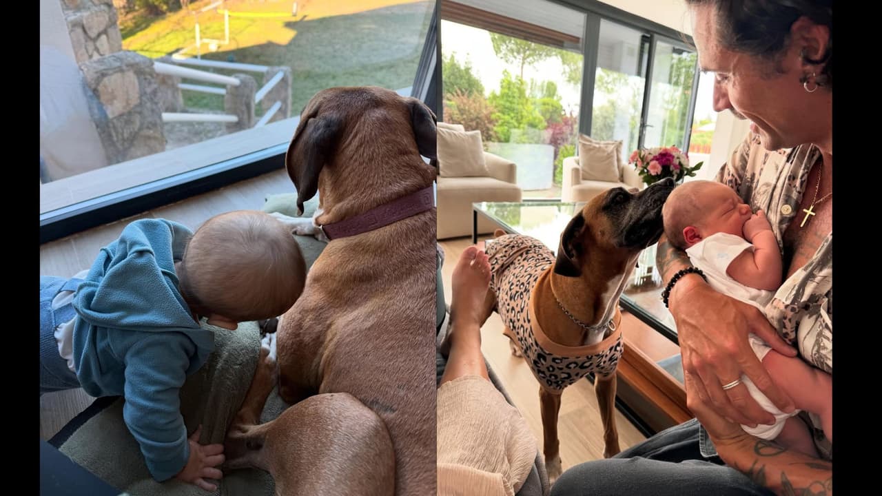 Michelle Renaud muestra a Venus, su perrita, conviviendo con su hijo Milo