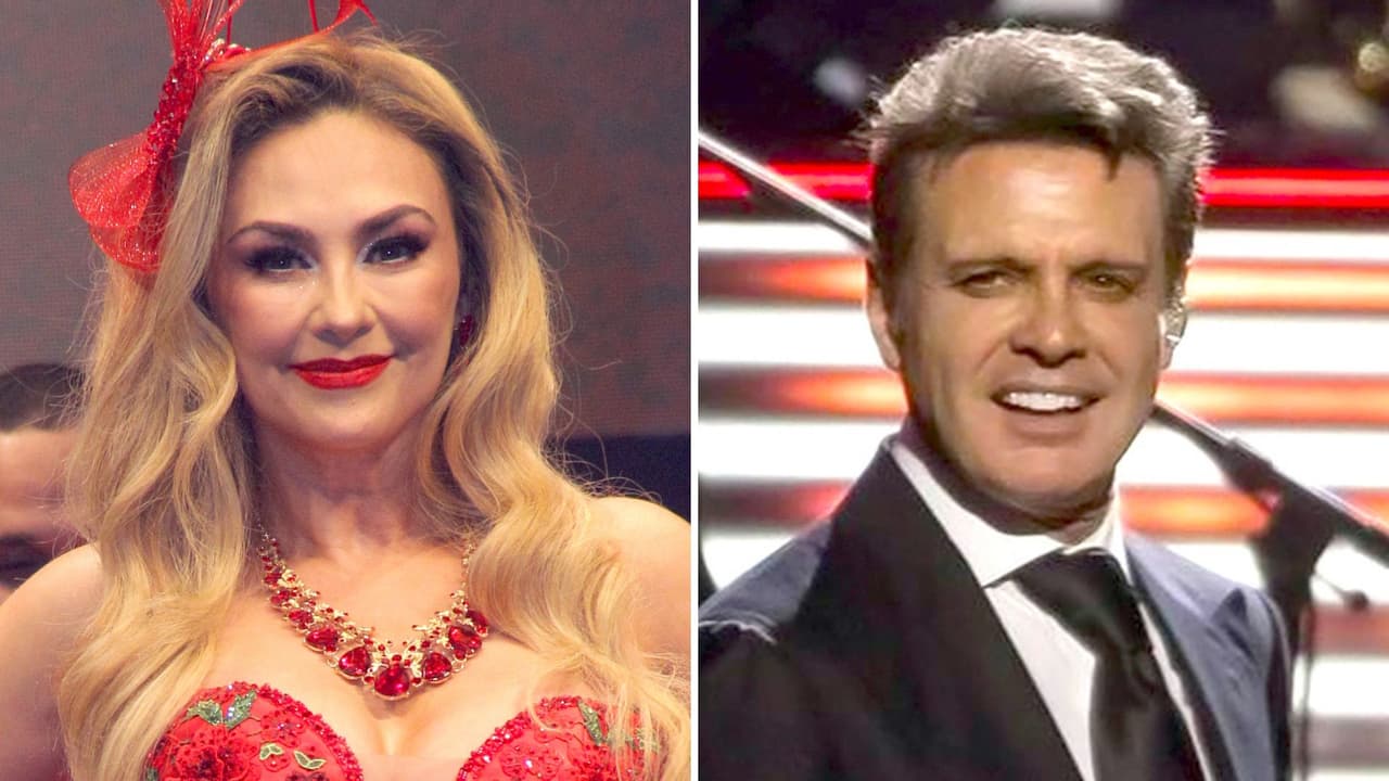 Aracely Arámbula reacciona a la existencia de una supuesta hija no reconocida de Luis Miguel: manda mansaje a su ex