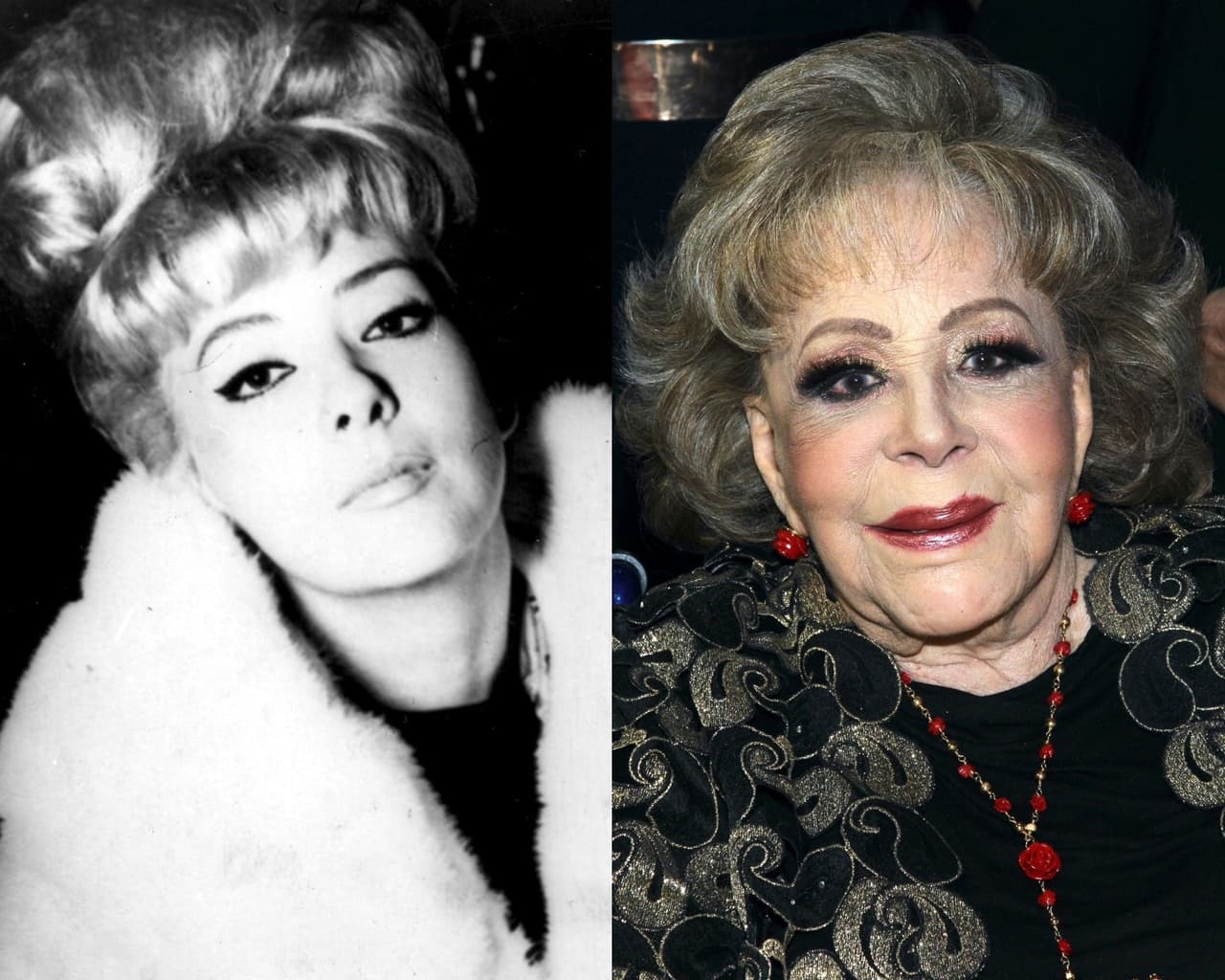 Con más de 70 años de trayectoria, la primera actriz Silvia Pinal se consagra como 'La última diva del cine'. Aunque a lo largo de su trayectoria a figurado como conductora, política, empresaria y productora.