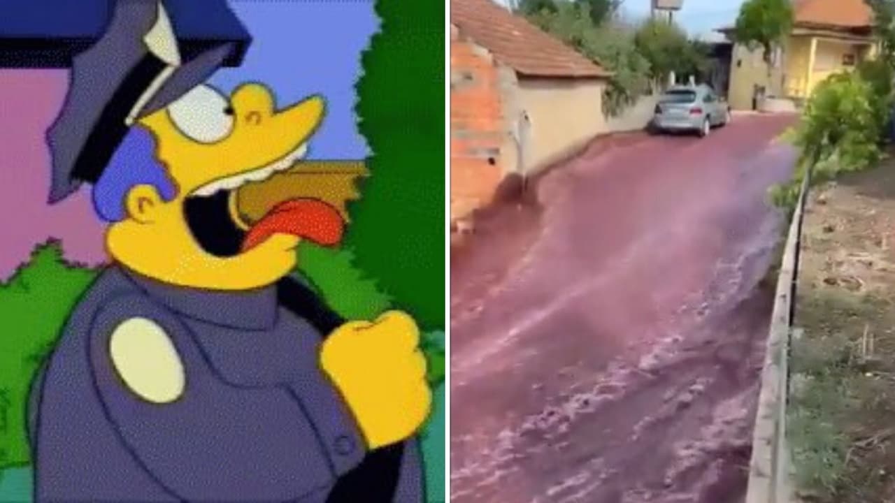 Pueblo en Portugal se inunda en litros de vino tras accidente: Internet reacciona con memes