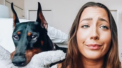 Youtuber publica por accidente video agrediendo a su perro; es investigada por maltrato animal