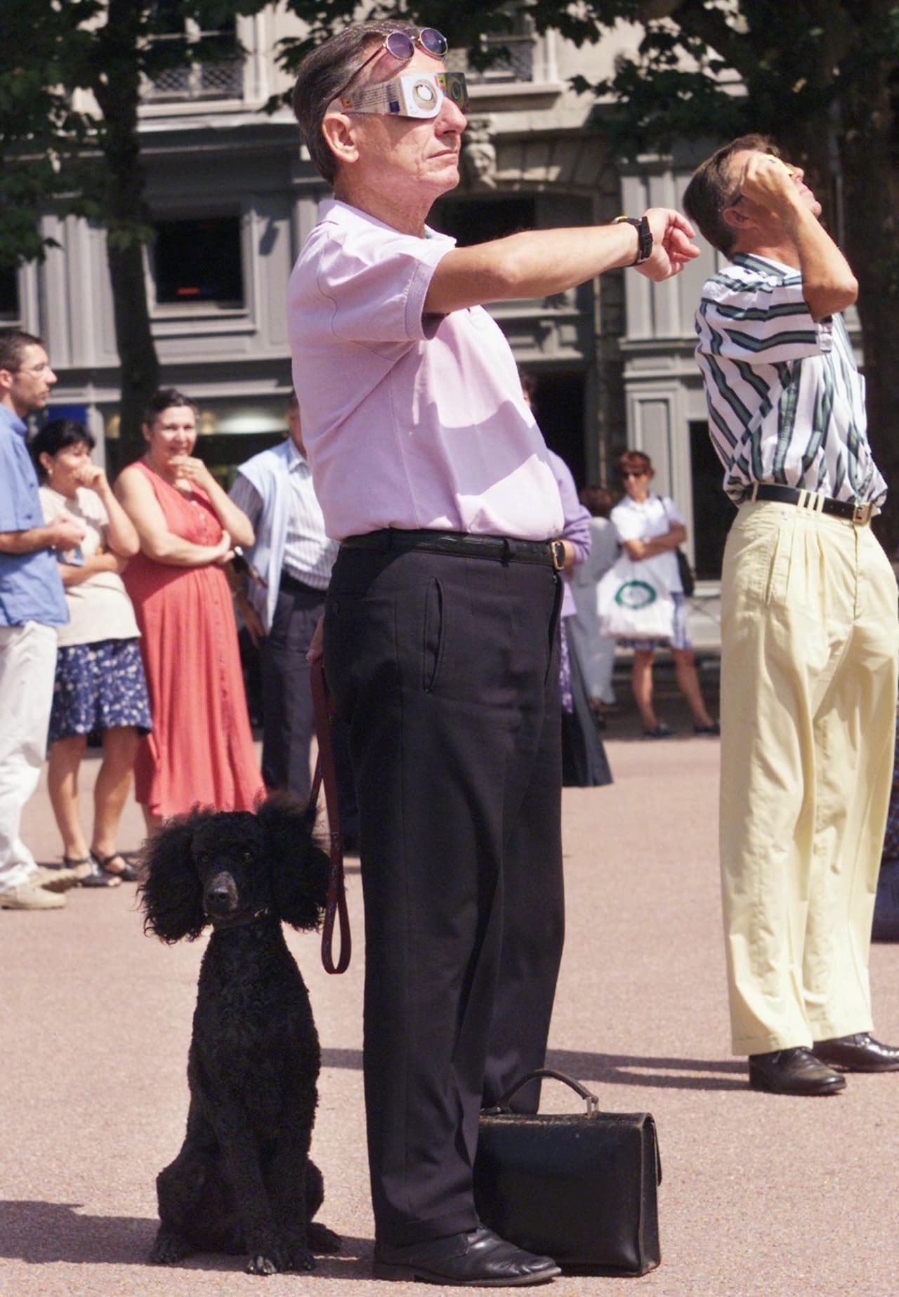 Cuida a tu mascota durante el eclipse solar