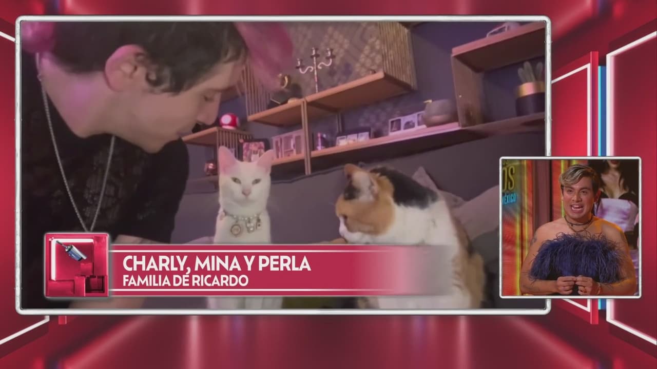 Ricardo Peralta vio a su novio Charly junto a Mina y Perla en 'La Casa de los Famosos México'
