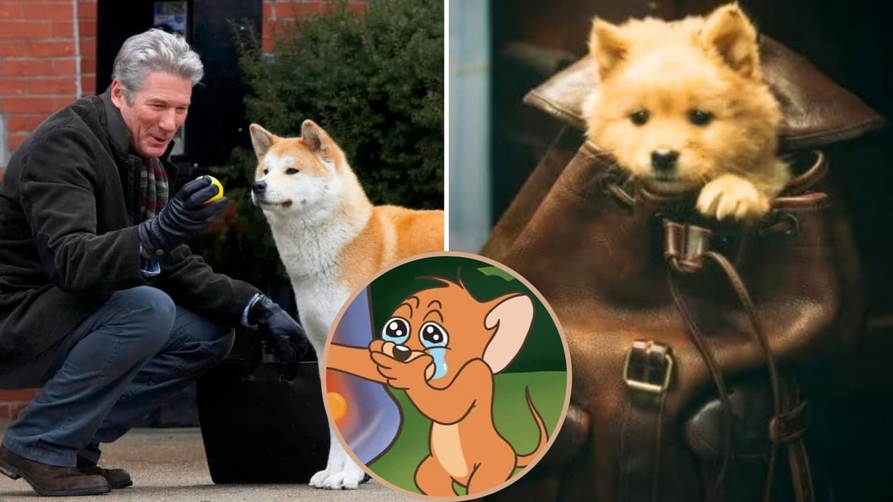 'Hachiko 2' no es una secuela de 'Hachiko: Por siempre a tu lado': de qué trata y cuándo se estrena