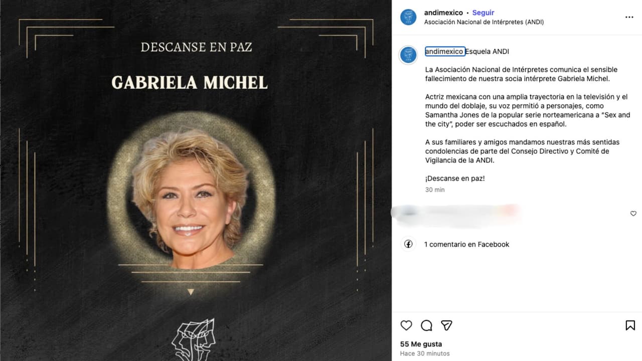 ANDI confirma la muerte de la actriz Gabriela Michel