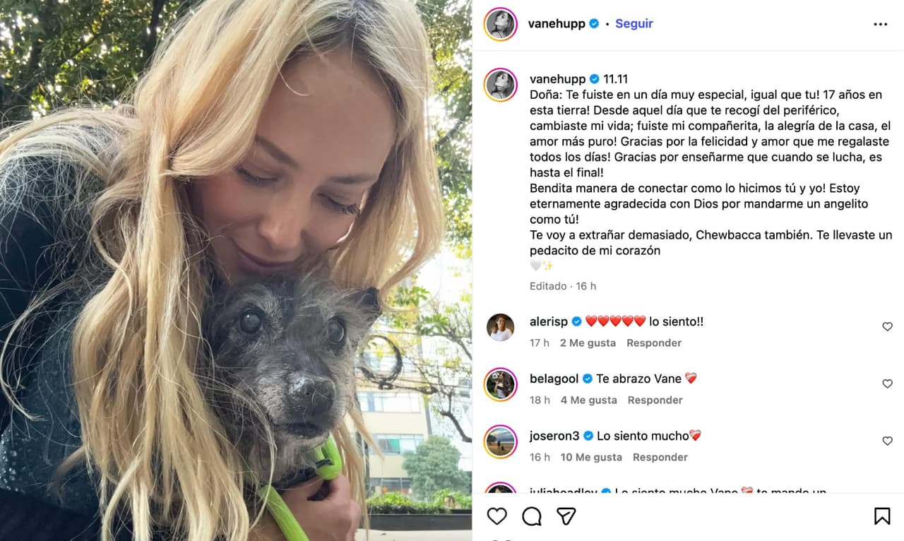 Vanessa Huppenkothen.