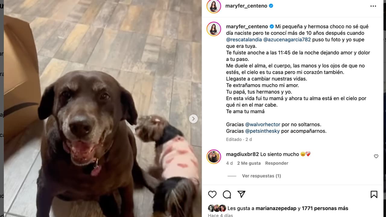 Maryfer Centeno anuncia que esta de luto tras inesperada muerte de ser querido.