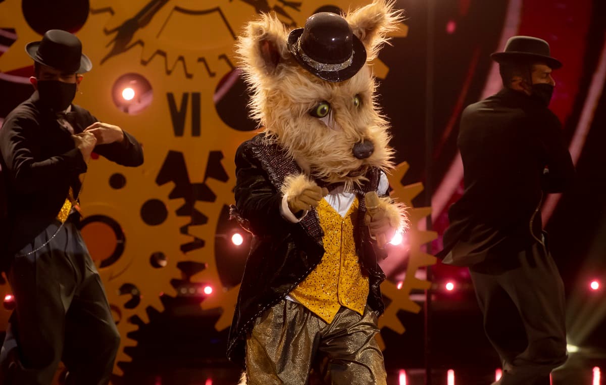 En el segundo capítulo, Perro causó intriga por el tipo de celebridad que se encontraba detrás de esta Máscara. Al principio se pensó que era una personalidad de edad avanzada por sus pasos al cantar ‘Llorarás’, de Óscar de León.