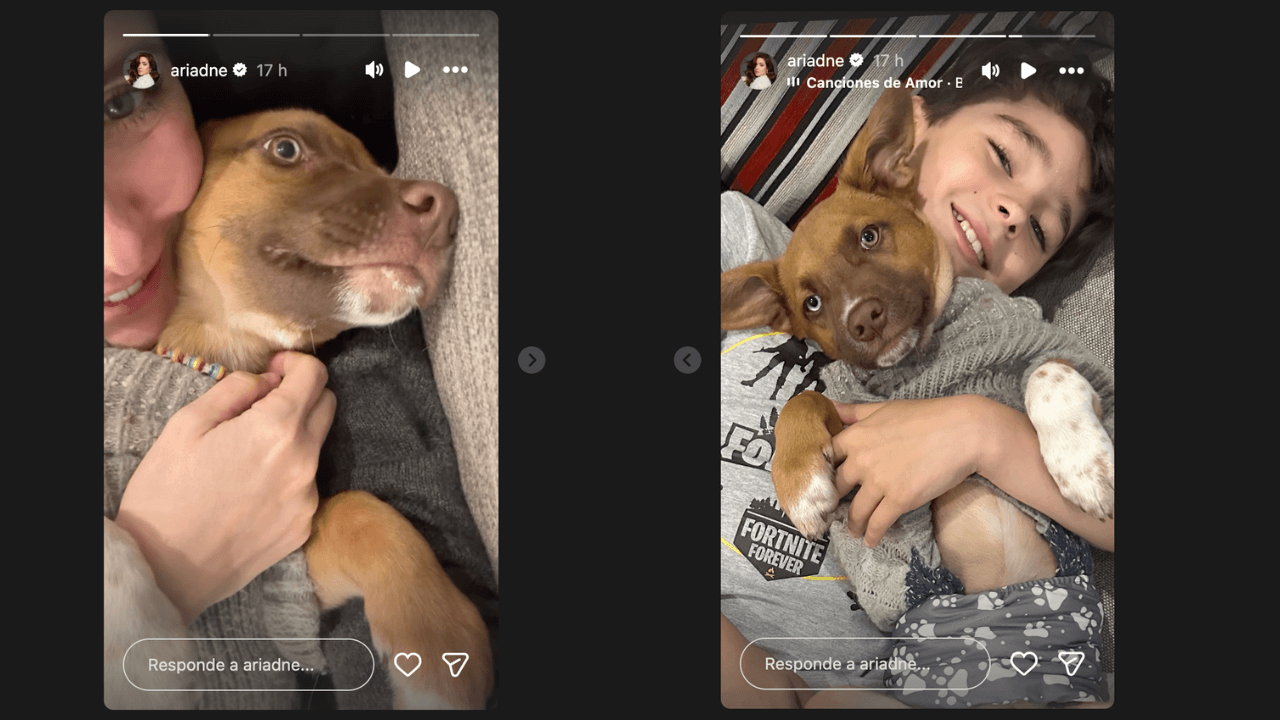 Ariadne Díaz presenta, por fin, al nuevo integrante de su familia y revela la dificultad que están sufriendo