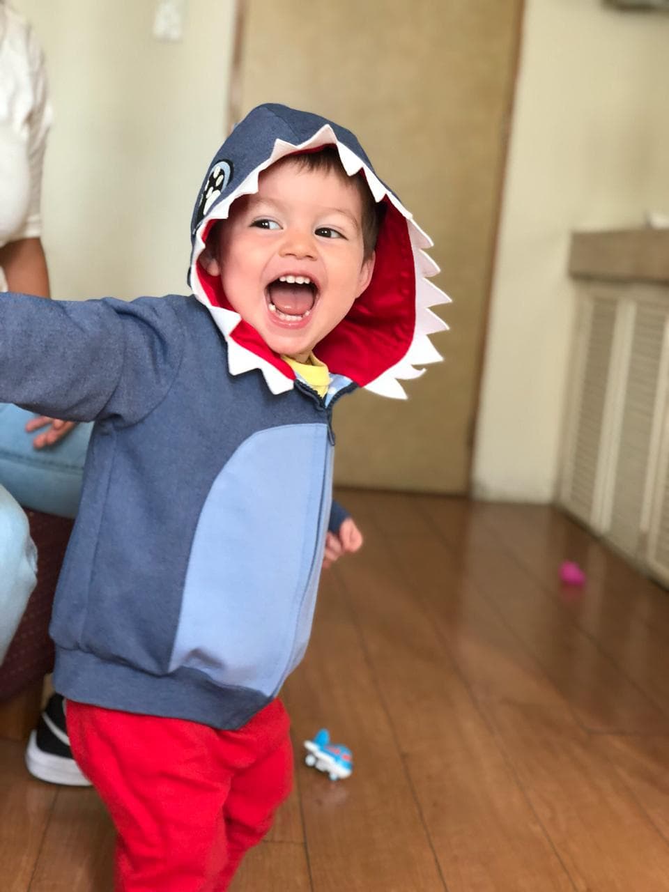 y por momentos enloquecerá a Lorenza