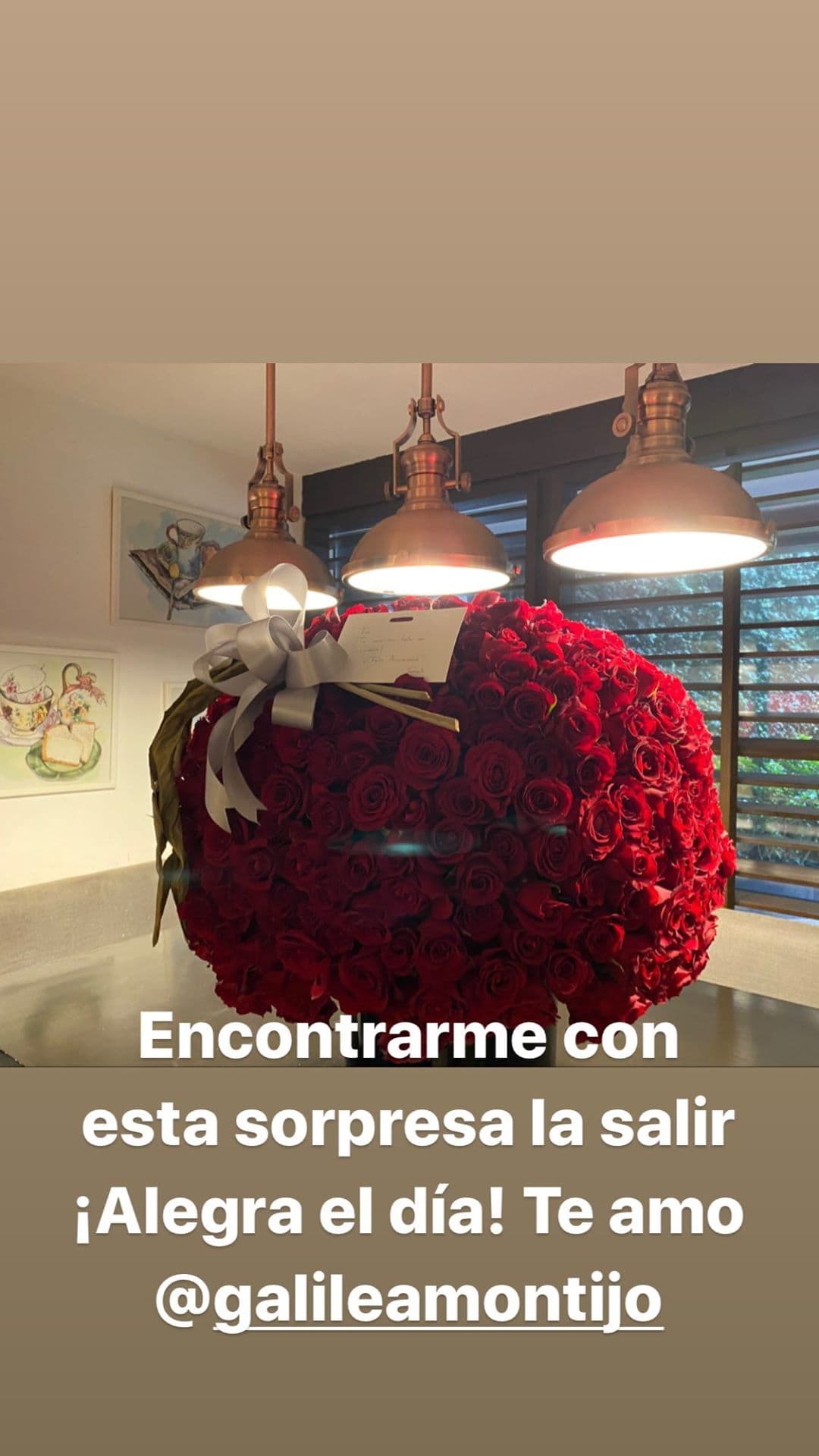 Fernando Reina presumió en redes sociales el romántico detalle con el que Galilea Montijo celebró sus 9 años de casados.