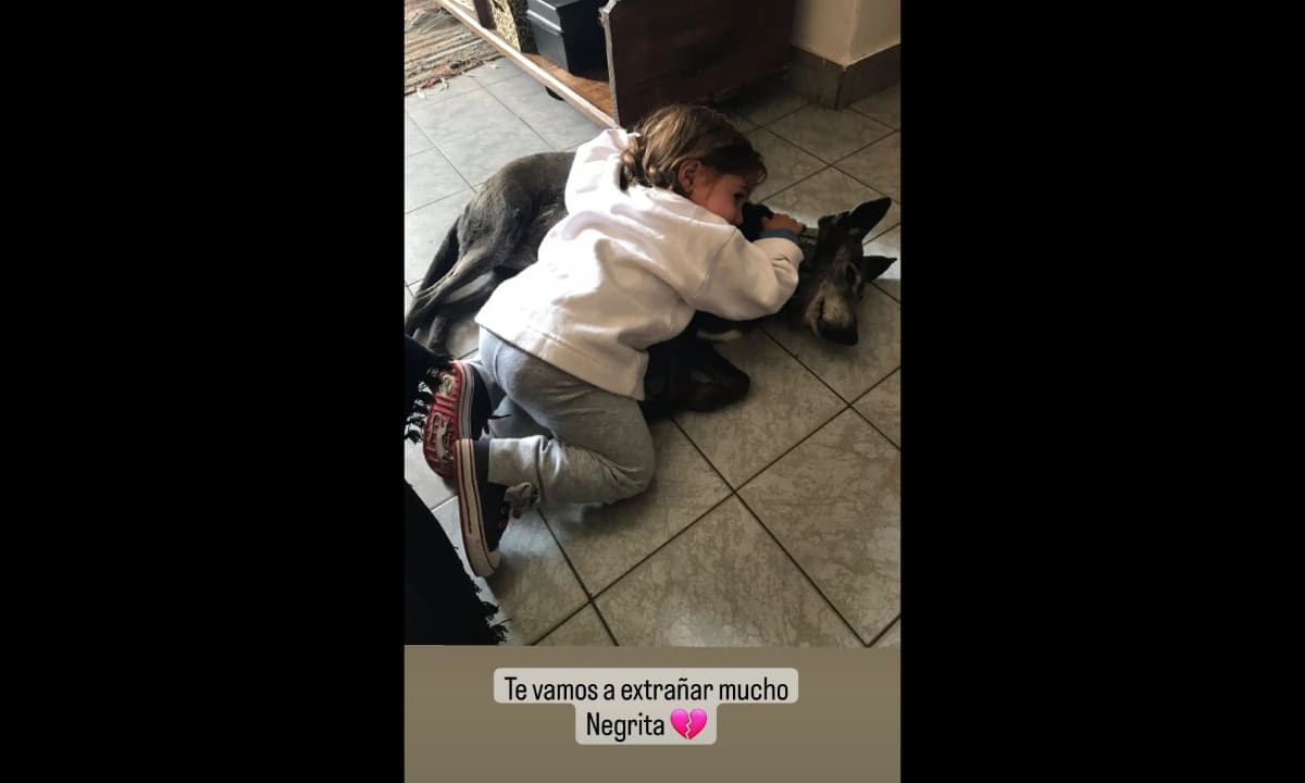 La hija del actor compartió la imagen en redes sociales