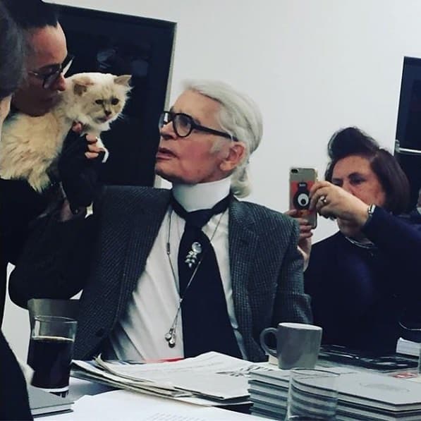 Sin duda Choupette fue más que una mascota, pues en entrevista para Magazine Number, Lagerfeld declaró que la gata ya era una heredera que nunca quedaría desprotegida