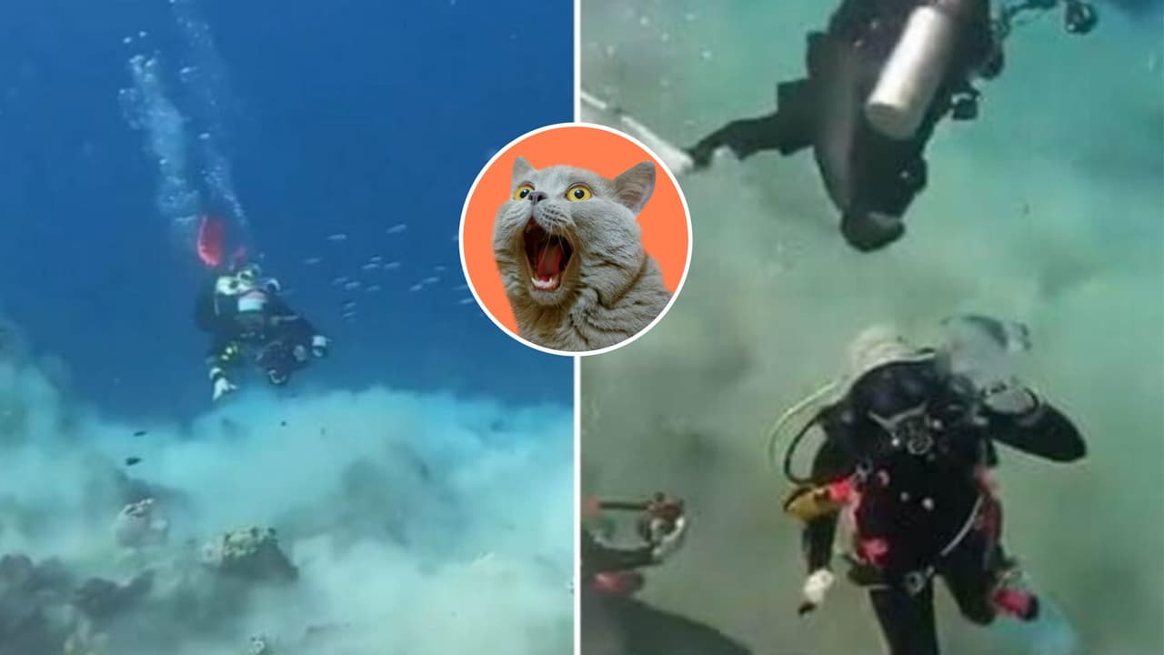 ¿Cómo se ve un 'terremoto' bajo el mar? Buzos difunden aterrador video