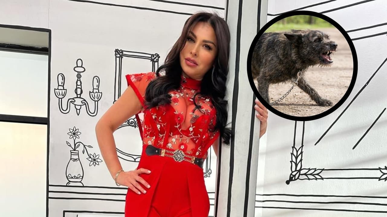 Exintegrante de Hoy muestra cómo ha avanzado su recuperación tras sufrir una mordida de perro