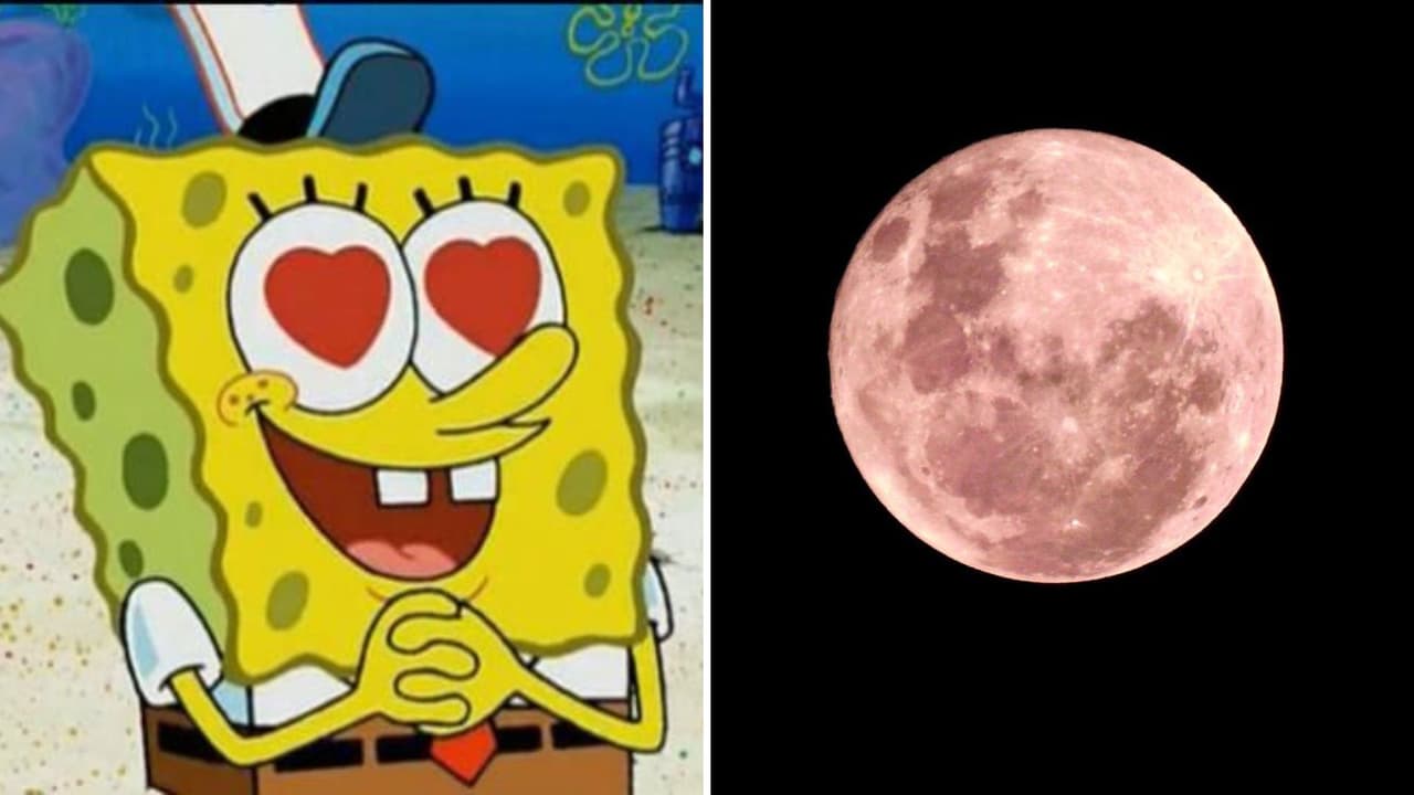 Luna Rosa, las mejores fotos y videos de este evento astronómico: "Parecía una joya"