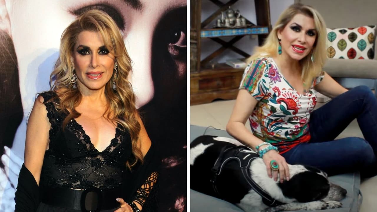 Hija de Dulce asegura que Pinto, el perrito que rescató, la extraña: Conoce la historia de esta mascota