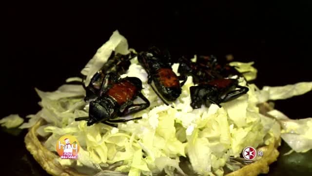 Reportaje de Pedro Prieto: Antojitos con insectos y pócimas